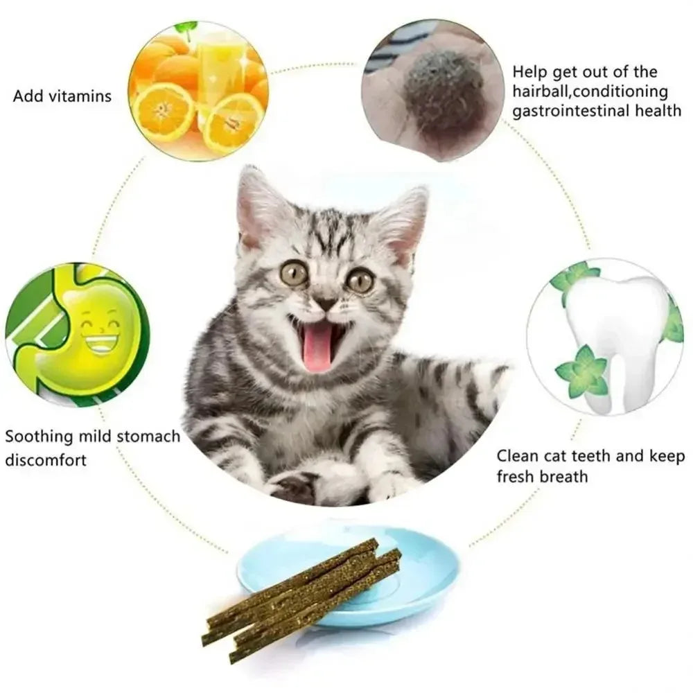 Pawzen™ Silvervine Chew Sticks