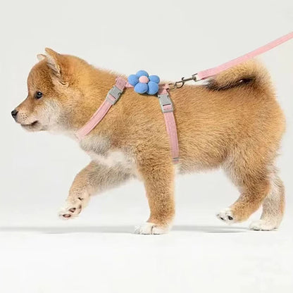 Pawzen™ Adjustable Pet Harness & Leash Set