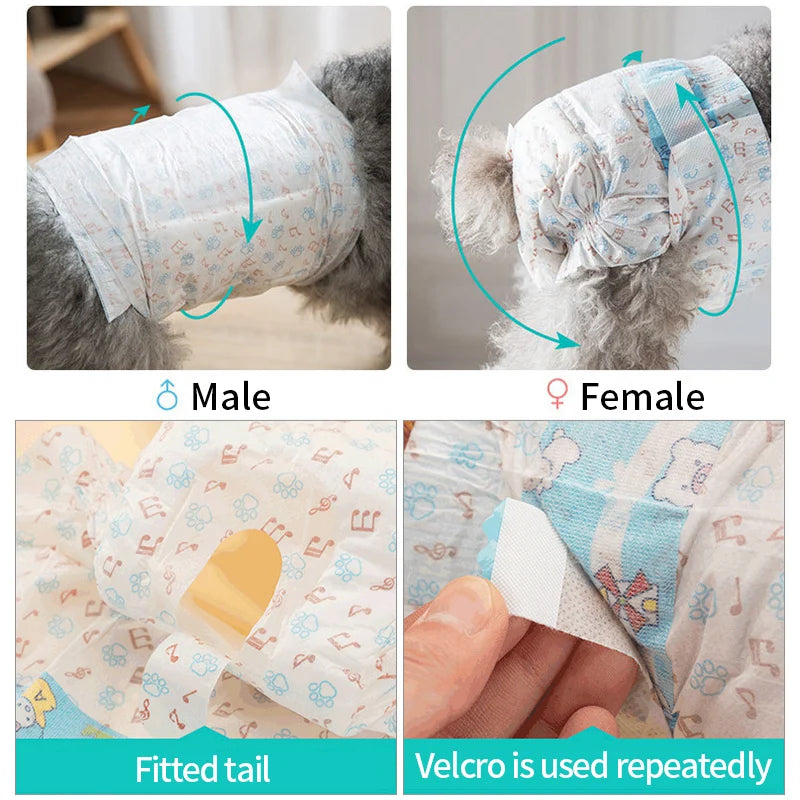 Pawzen™ Female Dog Diaper (Leakproof & Absorbent)