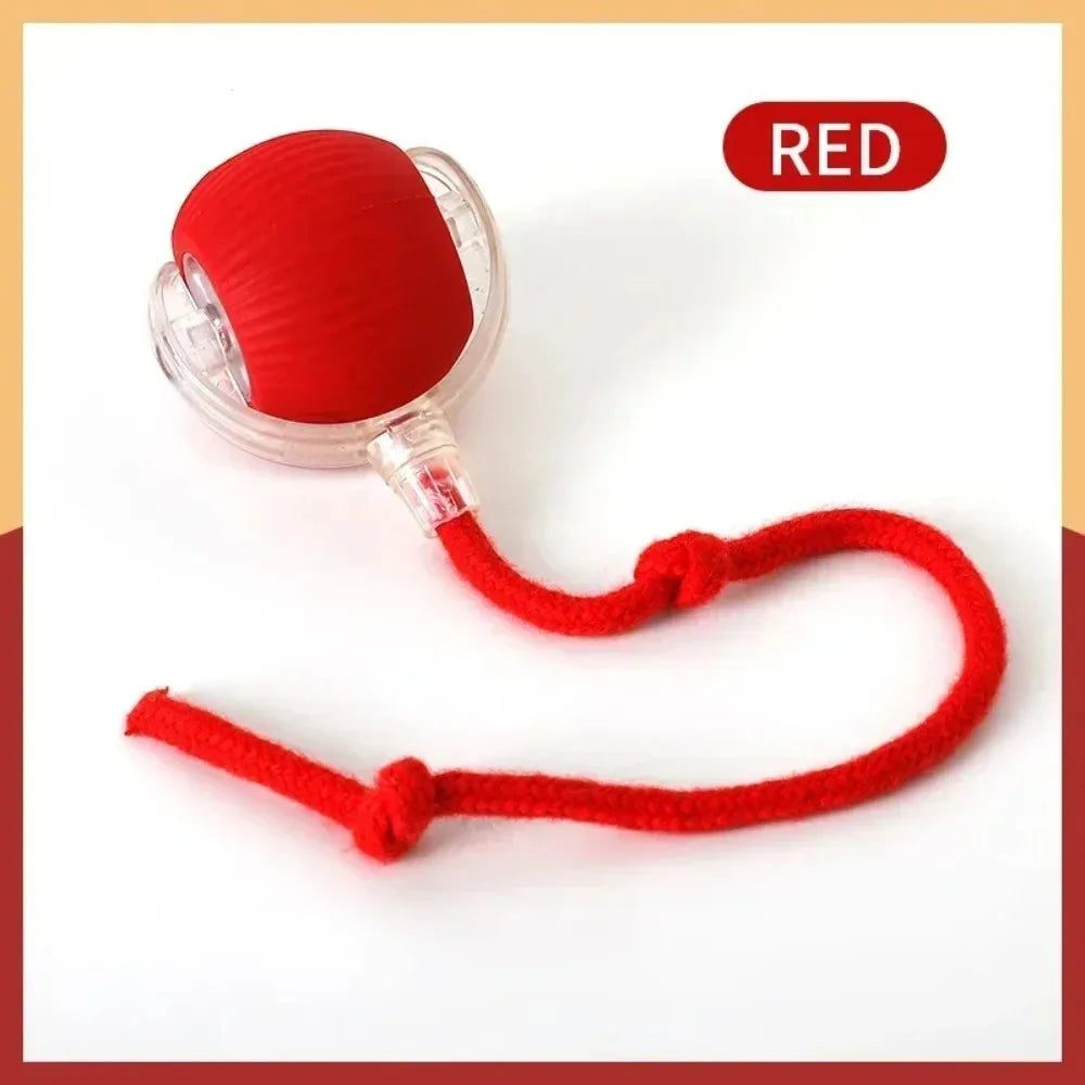 Pawzen™ Automatic Interactive Cat Toy Ball