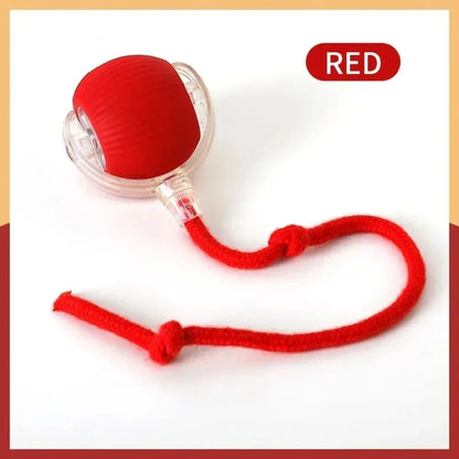 Pawzen™ Automatic Interactive Cat Toy Ball