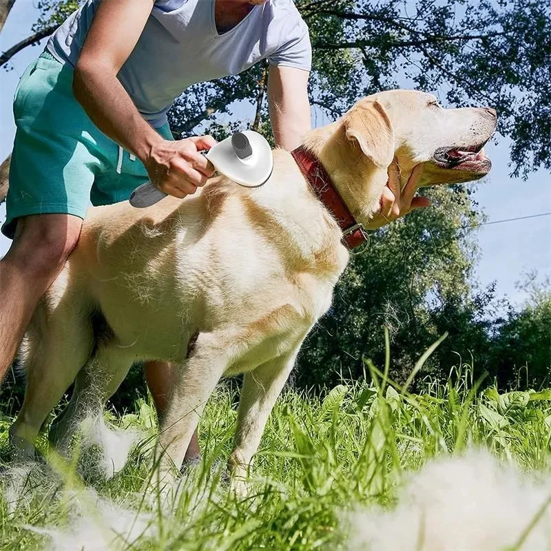 Pawzen™ Self-Cleaning Pet Grooming Brush