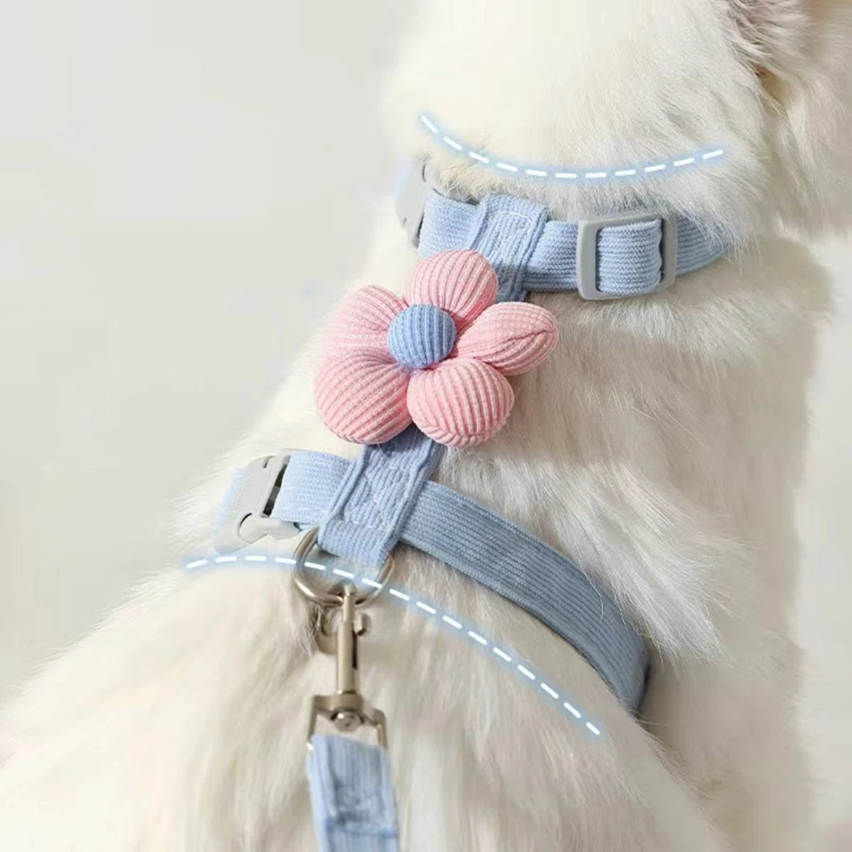 Pawzen™ Adjustable Pet Harness & Leash Set