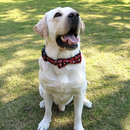 Pawzen™ Christmas Pet Collar with Bow Tie