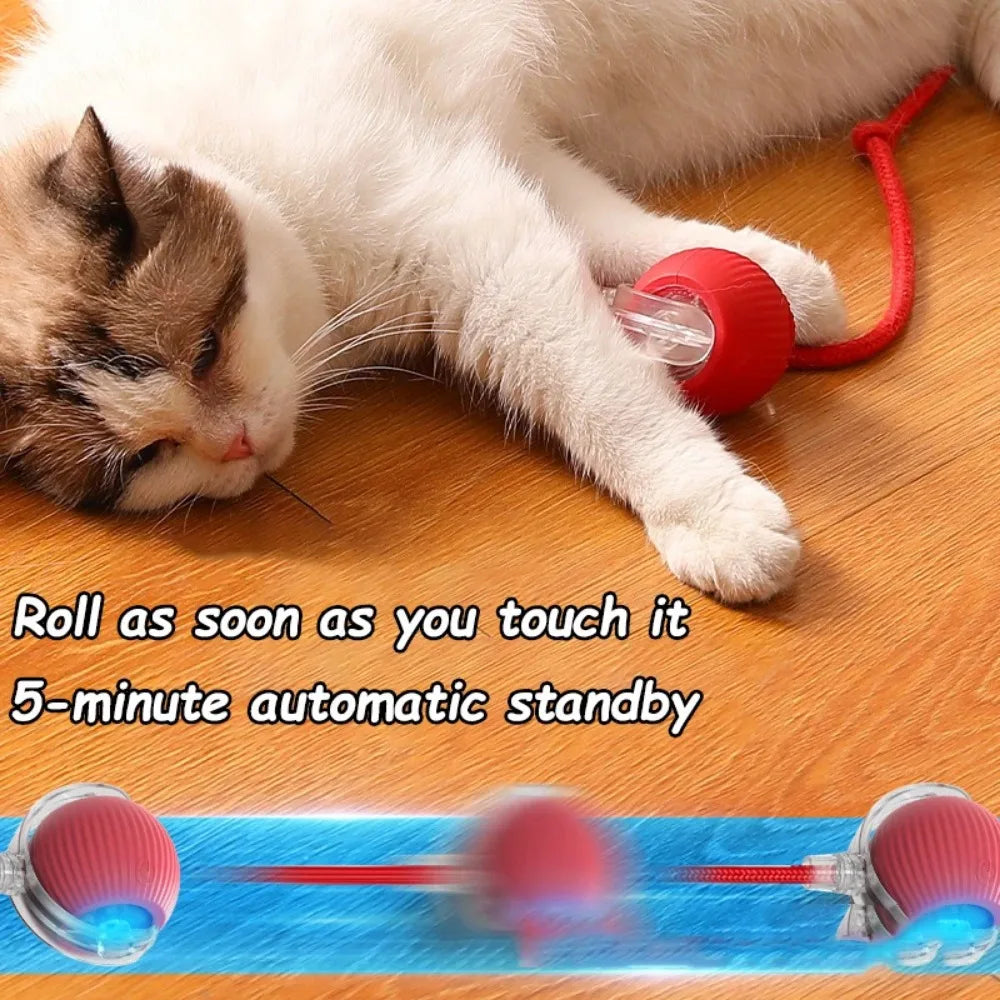 Pawzen™ Automatic Interactive Cat Toy Ball