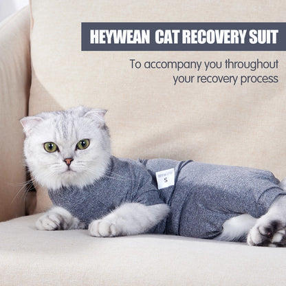 Pawzen™ Recovery Comfort Suit