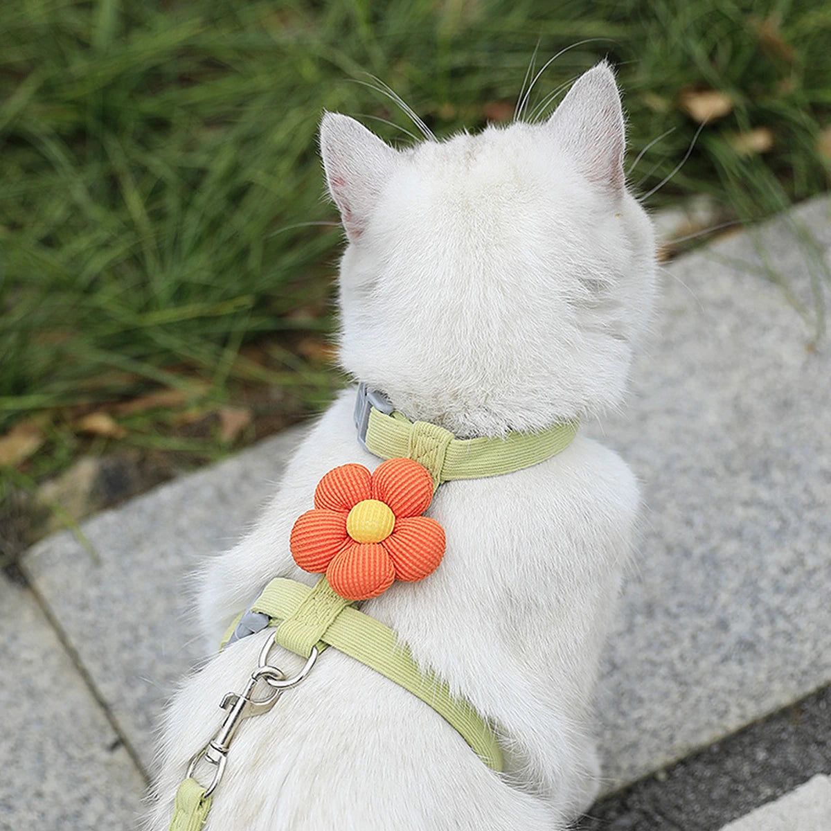 Pawzen™ Adjustable Pet Harness & Leash Set