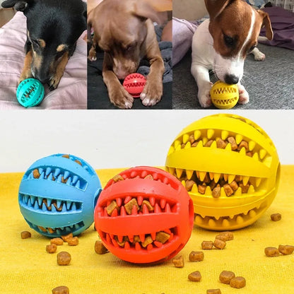 Pawzen™ TreatPuzzle Chew Ball