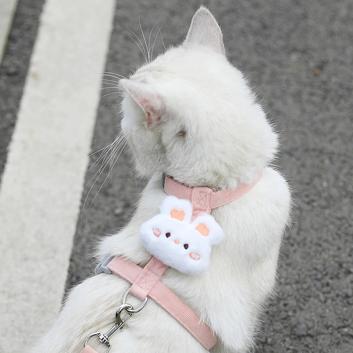 Pawzen™ Adjustable Pet Harness & Leash Set