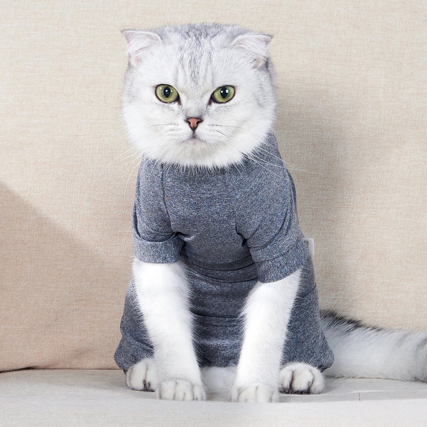 Pawzen™ Recovery Comfort Suit