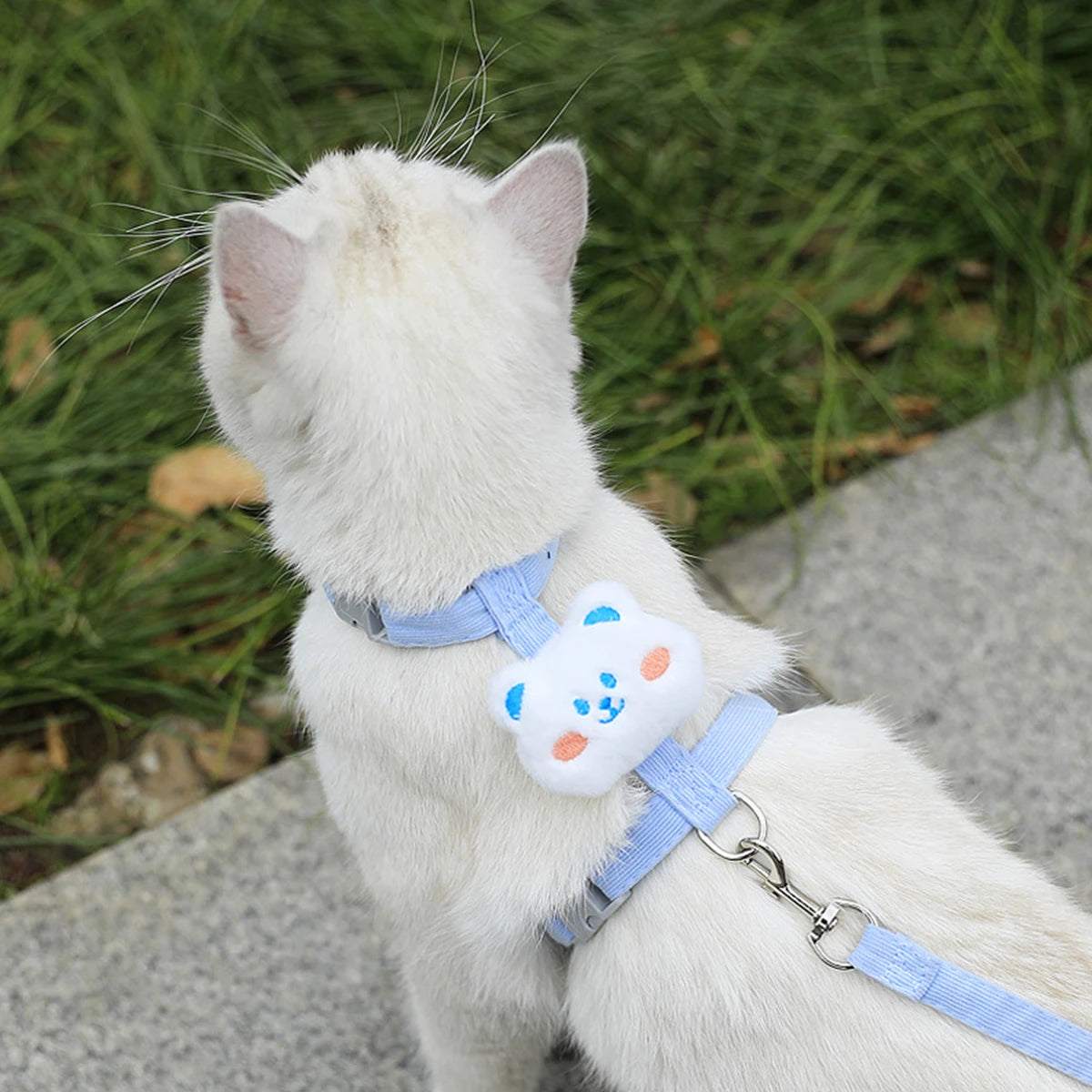 Pawzen™ Adjustable Pet Harness & Leash Set