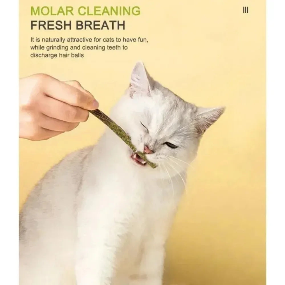 Pawzen™ Silvervine Chew Sticks