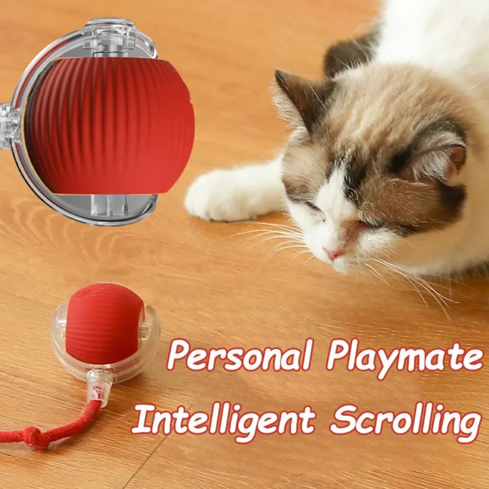 Pawzen™ Automatic Interactive Cat Toy Ball